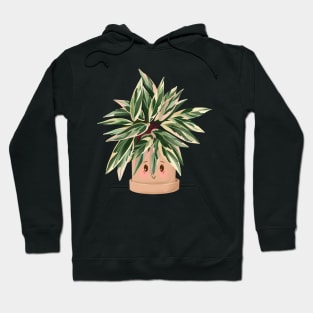 Cute Plant Illustration, Calathea Triostar Hoodie